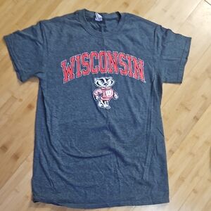 Gildan Wisconsin Graphic Men's Charcoal T-Shirt